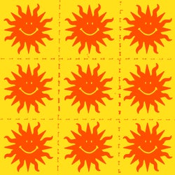 Sunshine Inc.