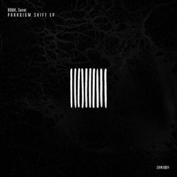 Paradigm Shift EP