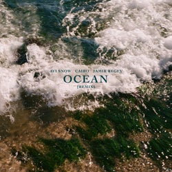 Ocean (Remix)
