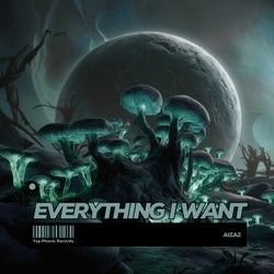 Everything I Want
